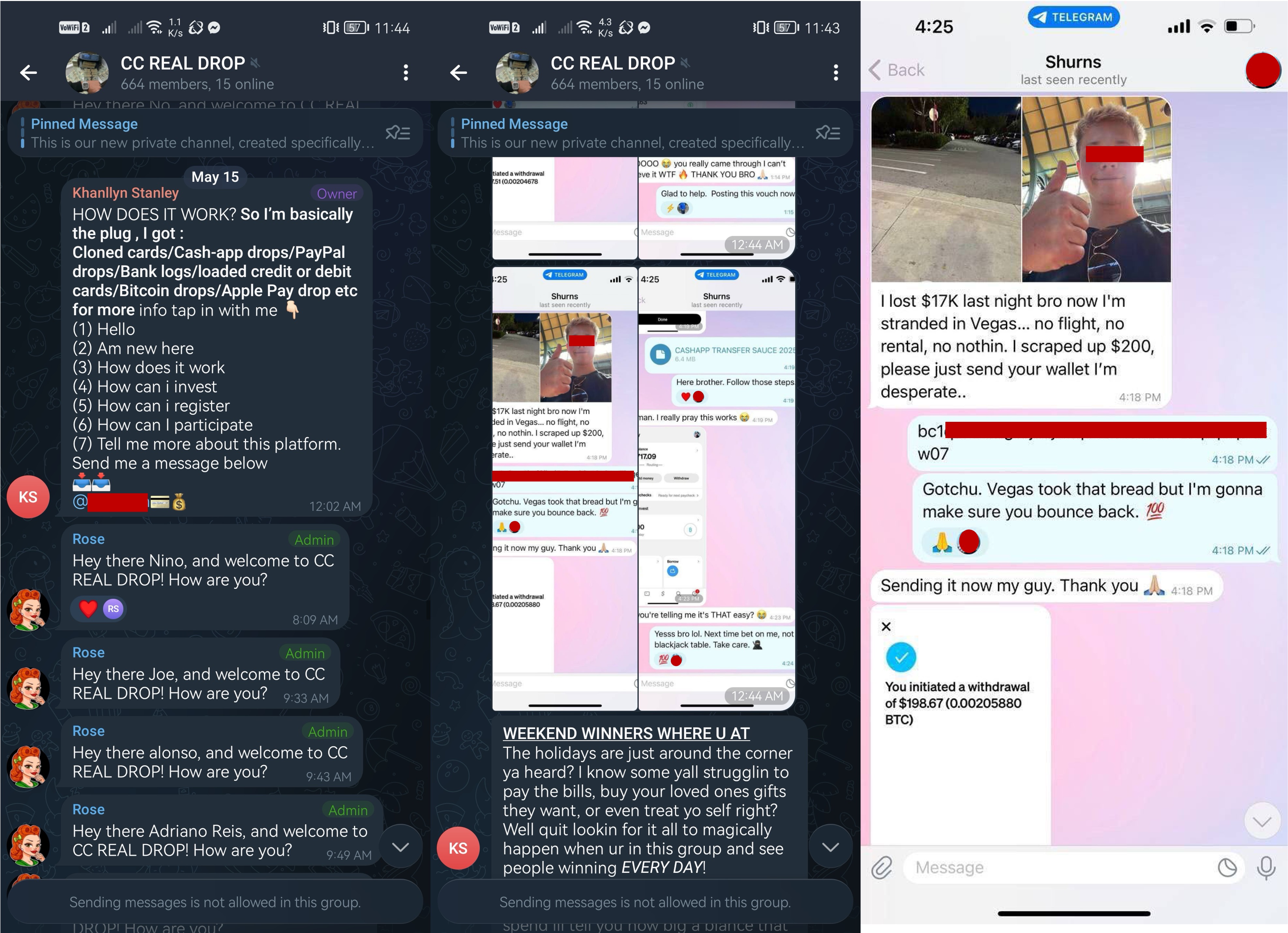 A Telegram group full of testimonials of success stories and instructions to get free money